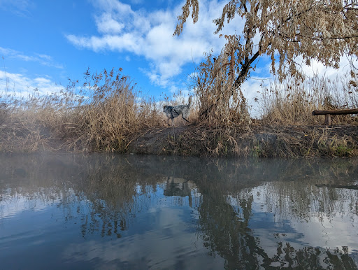 Inlet Park Hot Springs
