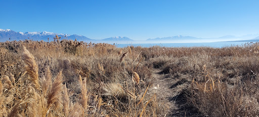 Inlet Park Hot Springs - Photo 4