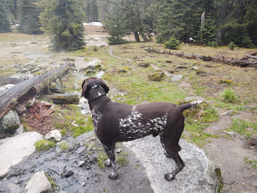 Jerry Johnson's Hot Springs - Photo 4
