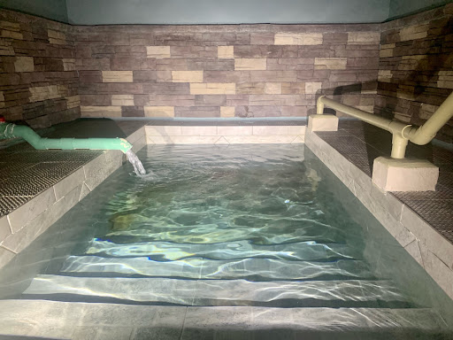 Kachina Hot Springs - Photo 5