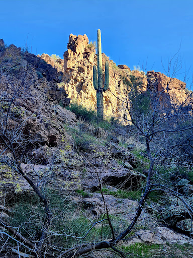 Kaiser Hot Springs - Photo 4