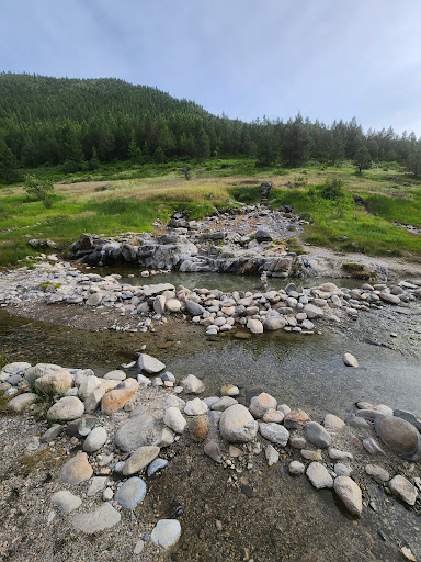 Kirkham Hot Springs - Photo 7