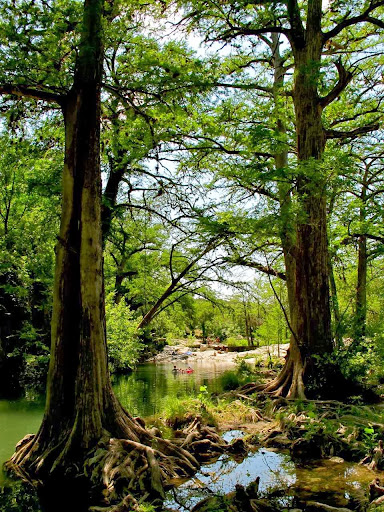 Krause Springs - Photo 5