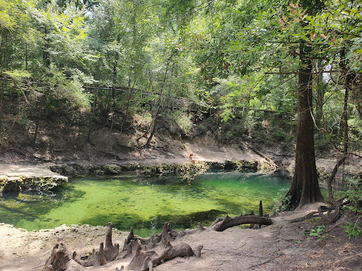 Lafayette Blue Springs - Photo 1