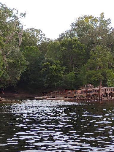 Lafayette Blue Springs - Photo 5