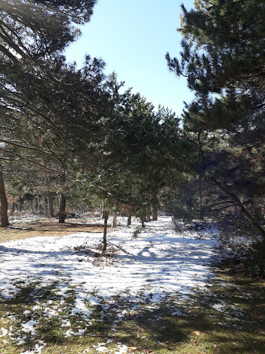 Lightfeather Hot Springs - Photo 4