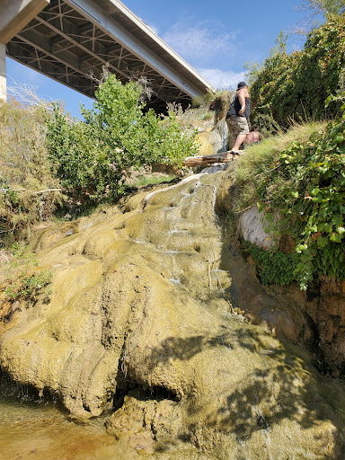 Little Jamaica Hot Springs - Photo 3