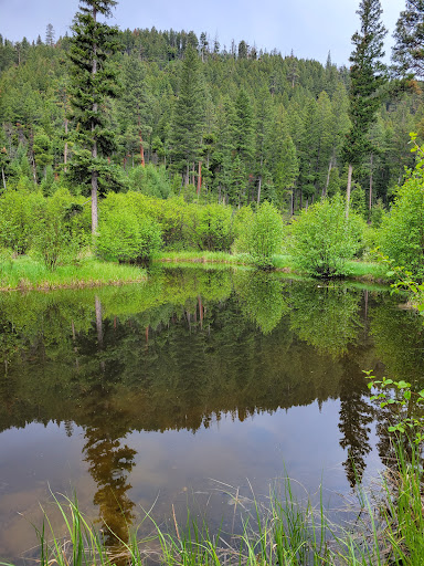 Lost Trail Hot Springs - Photo 8