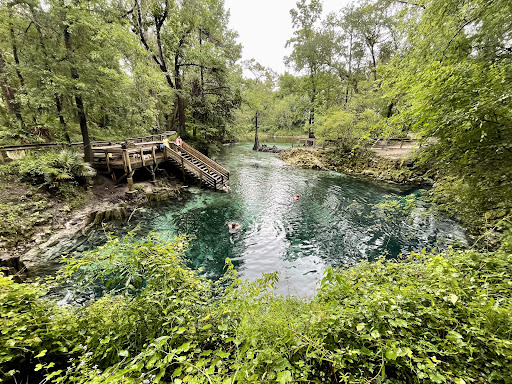 Madison Blue Springs - Photo 1