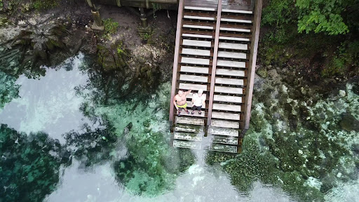 Madison Blue Springs - Photo 2