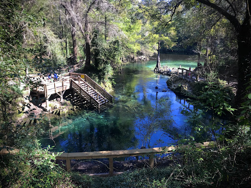 Madison Blue Springs - Photo 3