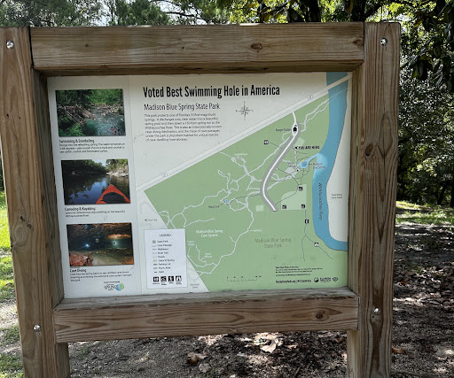 Madison Blue Springs - Photo 5