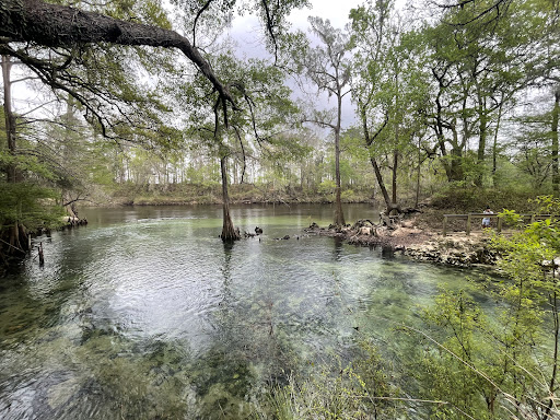 Madison Blue Springs - Photo 6