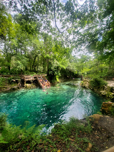 Madison Blue Springs - Photo 7