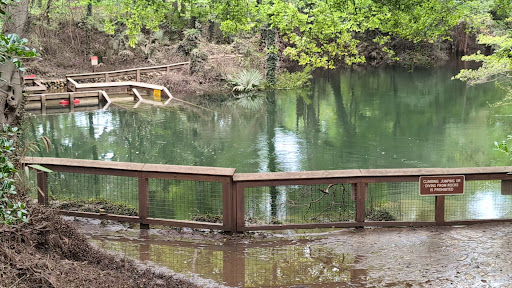 Madison Blue Springs - Photo 8