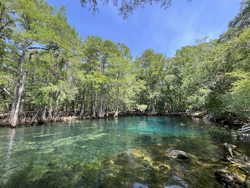 Manatee Springs - Photo 1