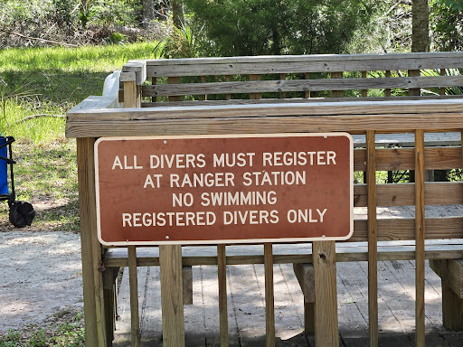Manatee Springs - Photo 6