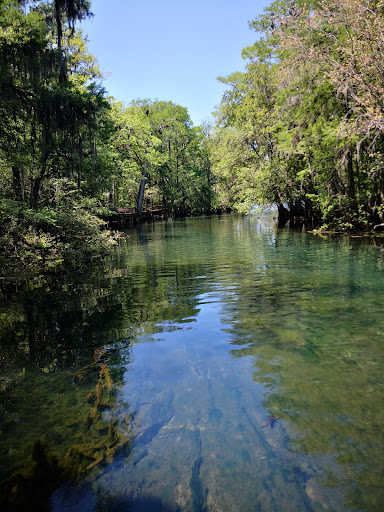 Manatee Springs - Photo 7