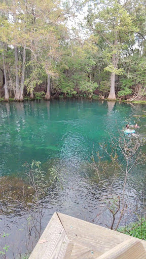 Manatee Springs - Photo 8