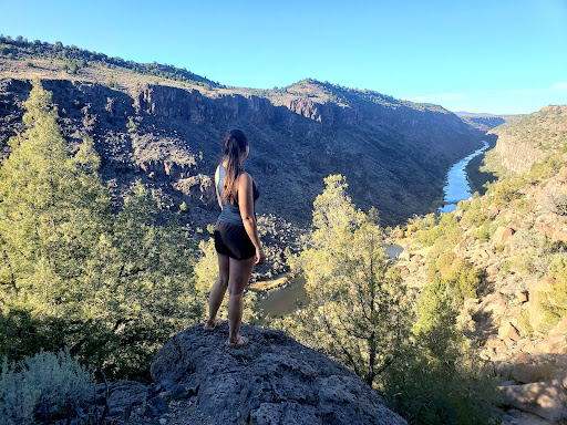 Manby Hot Springs - Photo 5