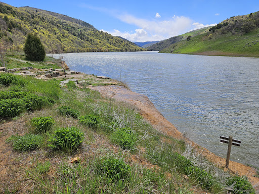 Maple Grove Hot Springs - Photo 3