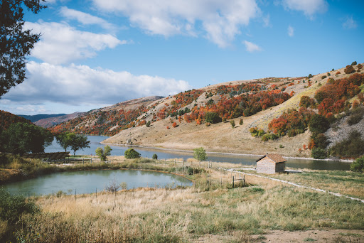 Maple Grove Hot Springs - Photo 5