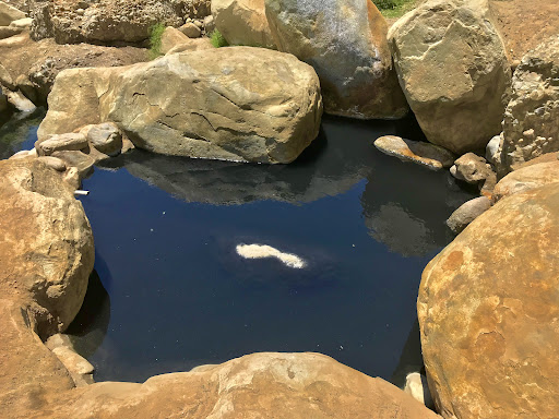 Matilija Hot Springs - Photo 3