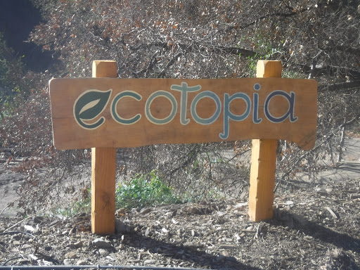 Matilija Hot Springs - Photo 6