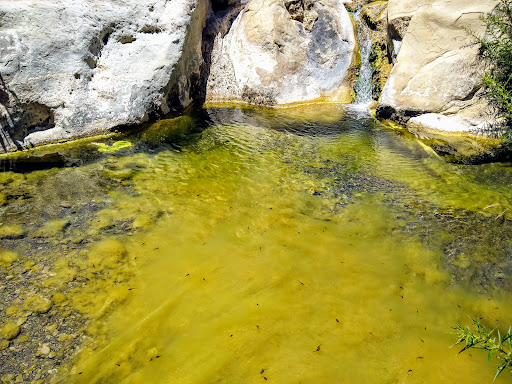 Matilija Hot Springs