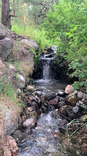 McCauley Warm Springs - Photo 2