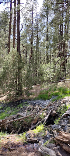 McCauley Warm Springs - Photo 3