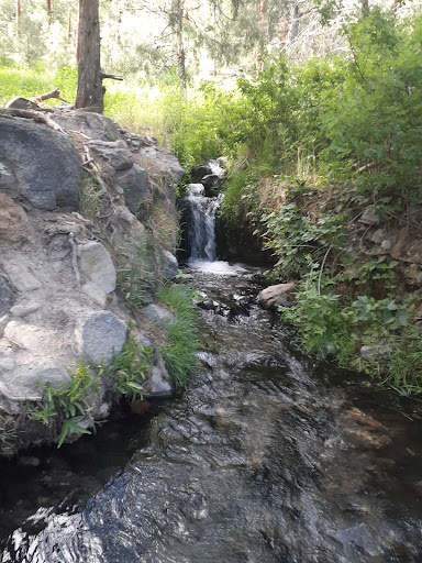 McCauley Warm Springs - Photo 4