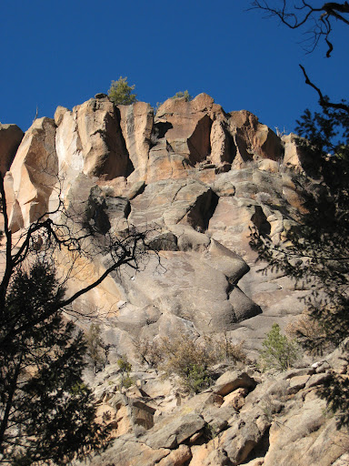 McCauley Warm Springs - Photo 6