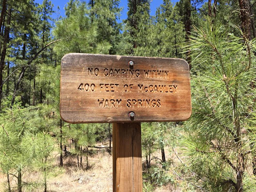 McCauley Warm Springs - Photo 7