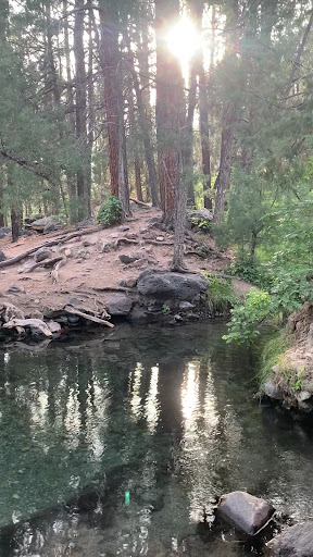 McCauley Warm Springs - Photo 8