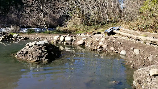 McCredie Hot Springs - Photo 1