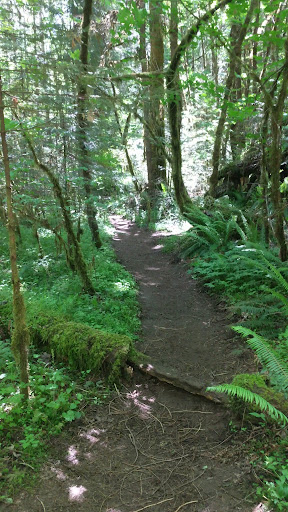McCredie Hot Springs - Photo 2