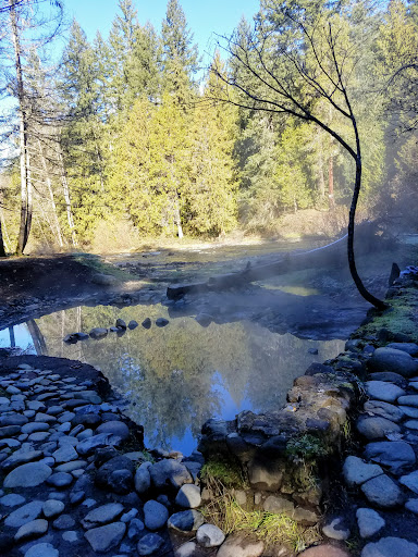 McCredie Hot Springs - Photo 4