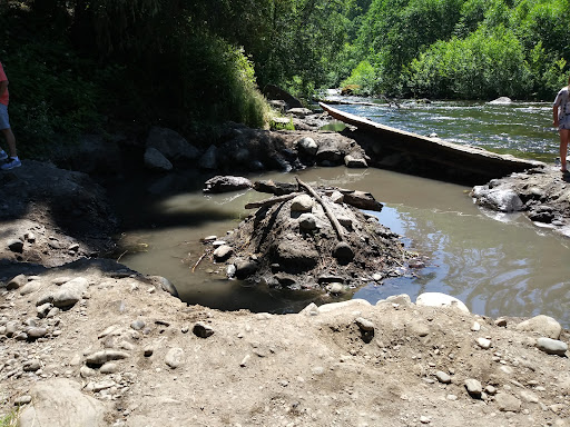 McCredie Hot Springs - Photo 5