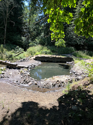 McCredie Hot Springs - Photo 7