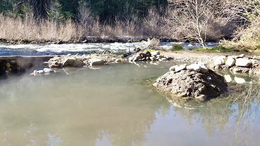 McCredie Hot Springs - Photo 8