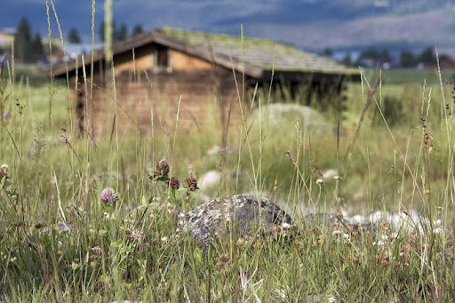 Mountain Village Resort Hot Springs - Photo 7