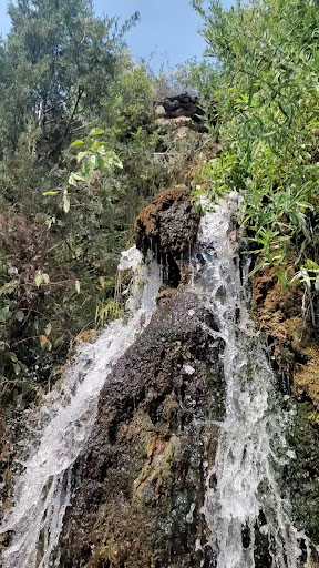 Nimrod Hot Springs - Photo 1