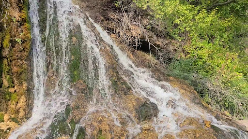 Nimrod Hot Springs - Photo 2