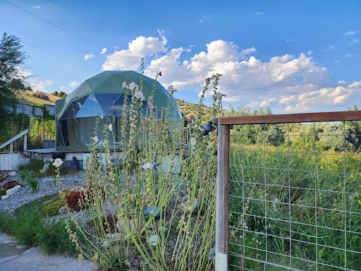 Norris Hot Springs - Photo 7