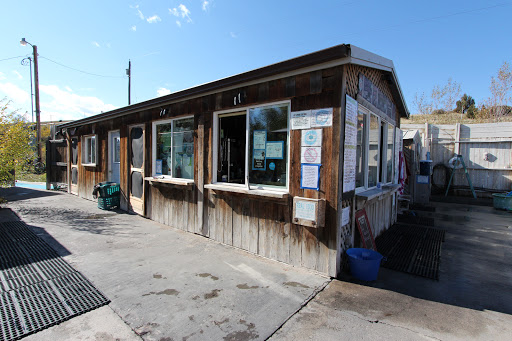 Norris Hot Springs - Photo 8