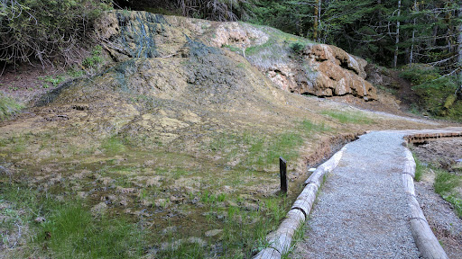 Ohanapecosh Hot Springs - Photo 1