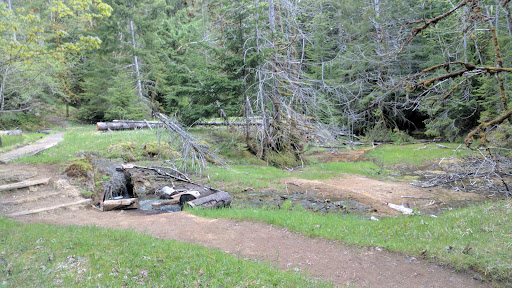 Ohanapecosh Hot Springs - Photo 2