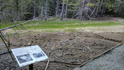 Ohanapecosh Hot Springs - Photo 3