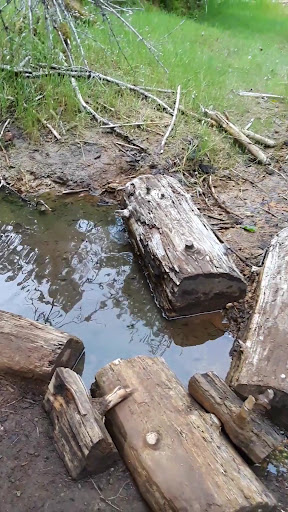Ohanapecosh Hot Springs - Photo 4